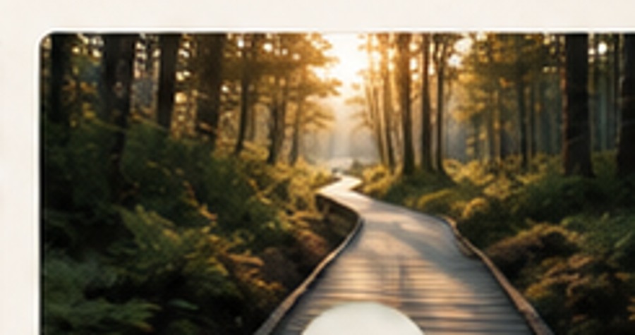 A forest path representing direction and possibility